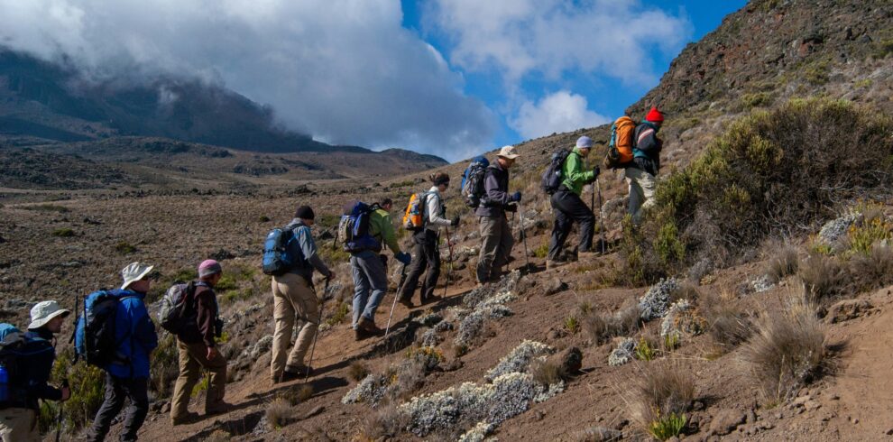 Hikers Trekking Uphill Mount Kilimanjaro