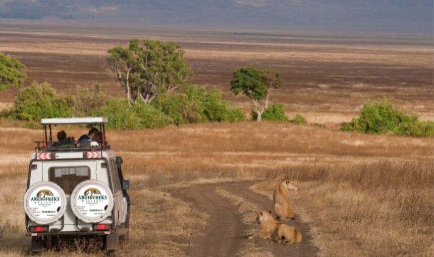 Celebrate Valentine’s Weekend with a Safari Escape
